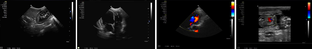 c-3副本.jpg c-3副本.jpg